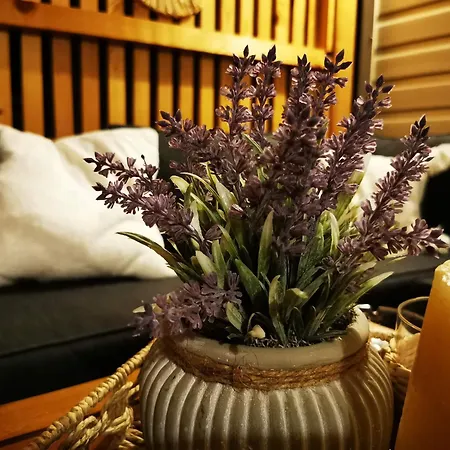 אתר קמפינג Mobile Pine Adria ביוגראד נה מורו