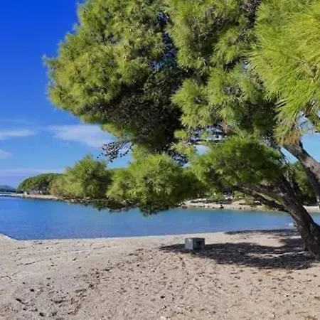 Mobile Pine Adria
